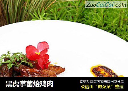 黑虎掌菌烩鸡肉