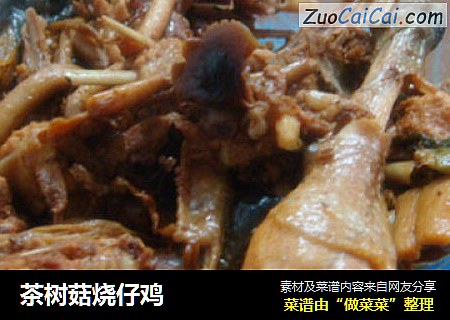 茶树菇烧仔鸡