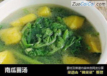 南瓜苗汤