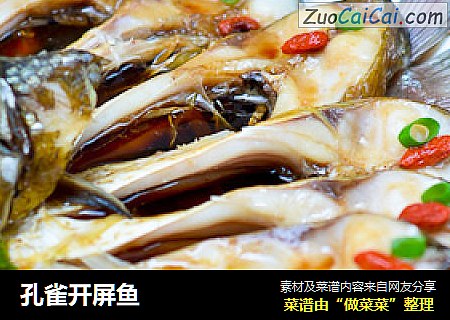 孔雀开屏鱼