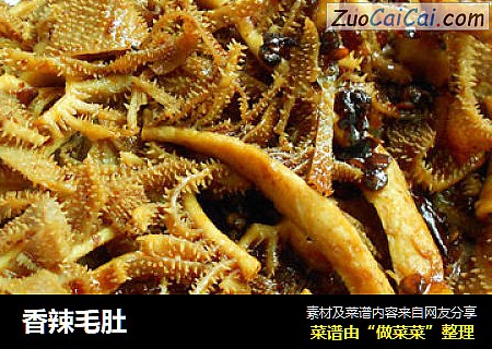 香辣毛肚