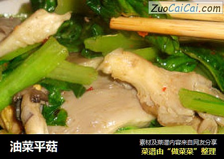 油菜平菇