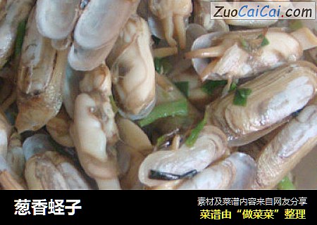 葱香蛏子