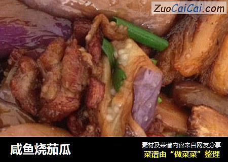 咸鱼烧茄瓜