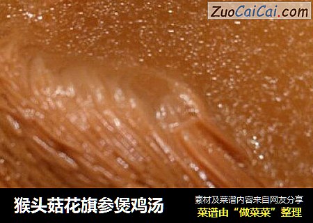 猴头菇花旗参煲鸡汤