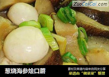 葱烧海参烩口蘑