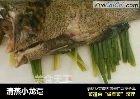 清蒸小龙趸
