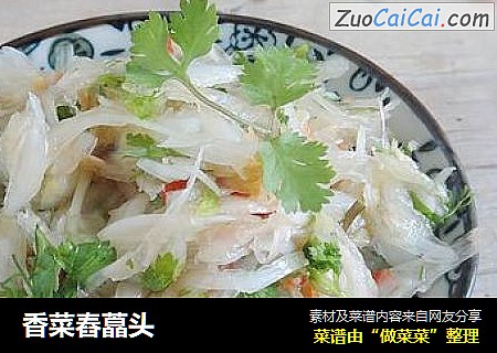 香菜舂藠头