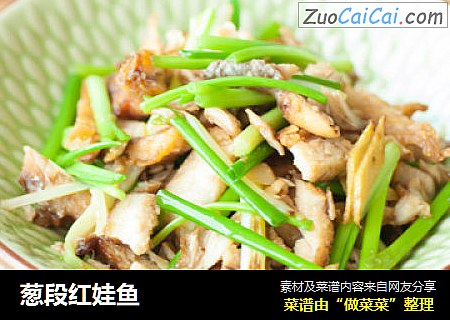 葱段红娃鱼
