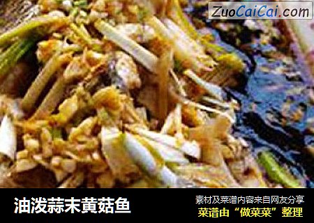 油泼蒜末黄菇鱼