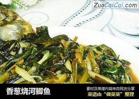香葱烧河鲫鱼