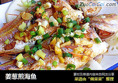 姜葱煎海鱼