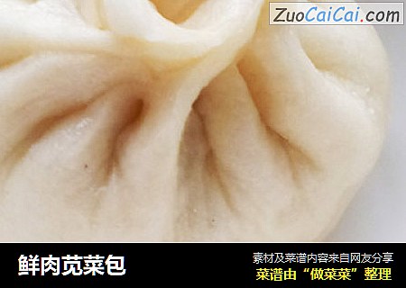 鲜肉苋菜包