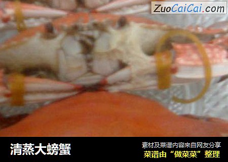 清蒸大螃蟹