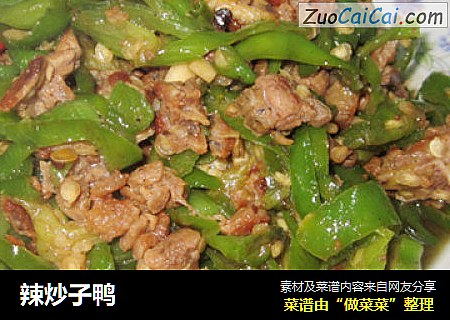 辣炒子鸭