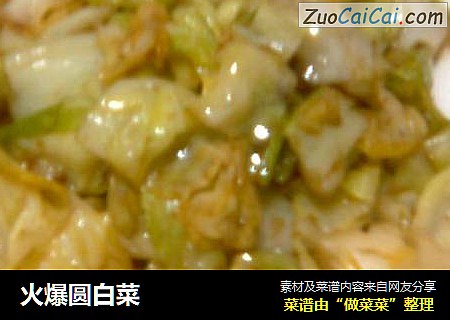 火爆圆白菜
