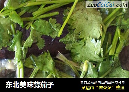 东北美味蒜茄子