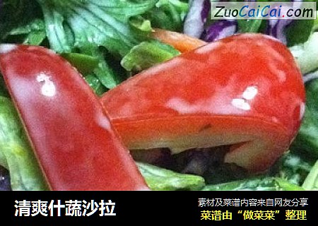 清爽什蔬沙拉