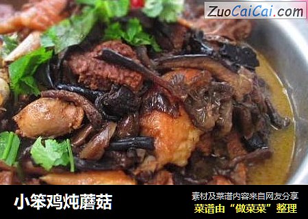 小笨鸡炖蘑菇