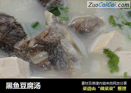 黑鱼豆腐汤