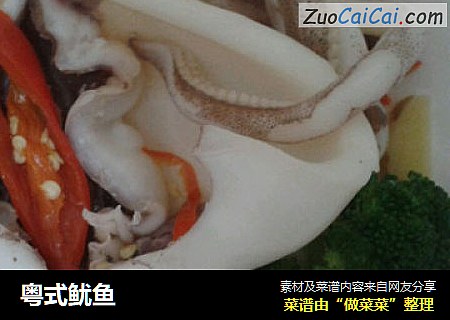 粤式鱿鱼