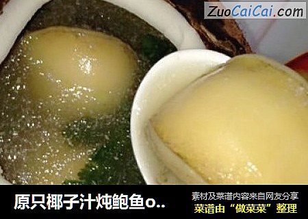 原只椰子汁炖鲍鱼or乌鸡