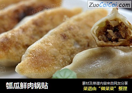 瓠瓜鲜肉锅贴