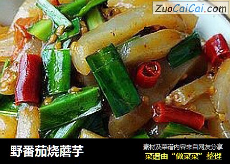 野番茄烧蘑芋