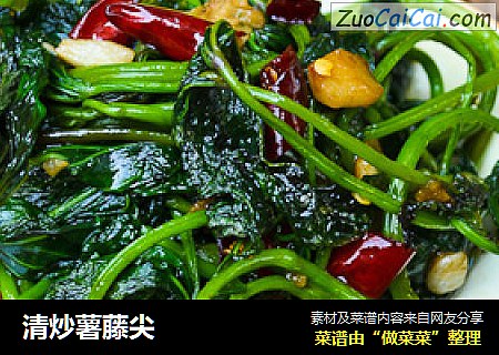 清炒薯藤尖