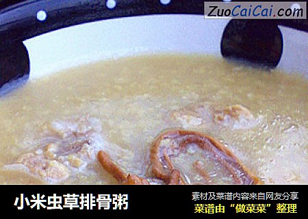小米虫草排骨粥