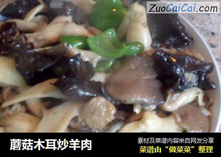 蘑菇木耳炒羊肉