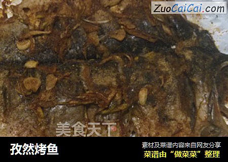 孜然烤鱼