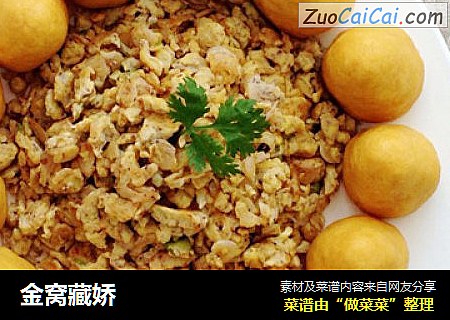 金窝藏娇