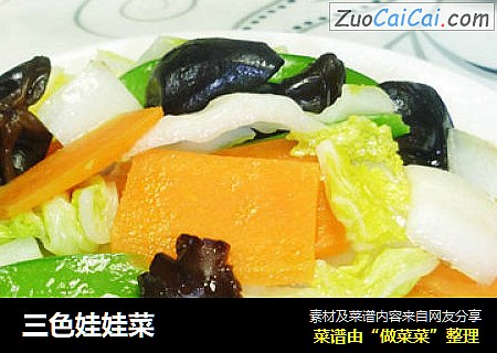 三色娃娃菜