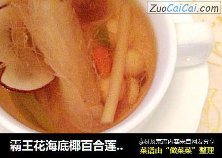霸王花海底椰百合莲子汤--清心润肺清热解毒