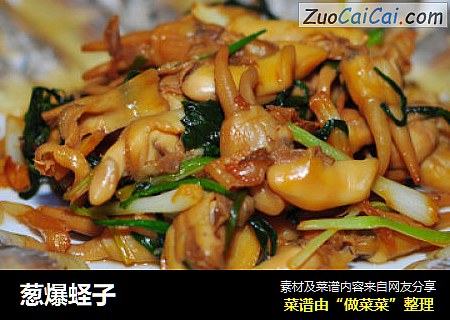 葱爆蛏子