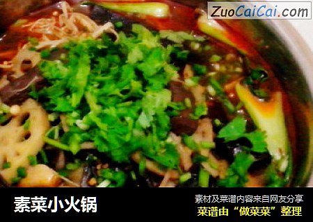 素菜小火锅