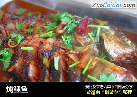 炖鲤鱼