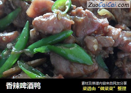 香辣啤酒鸭
