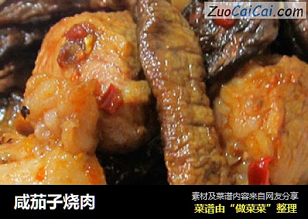 咸茄子烧肉