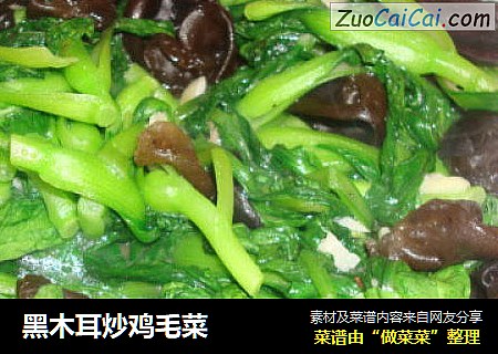 黑木耳炒鸡毛菜