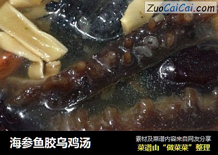 海参鱼胶乌鸡汤