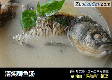 清炖鲫鱼汤