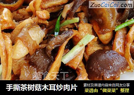 手撕茶树菇木耳炒肉片