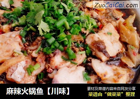麻辣火锅鱼【川味】