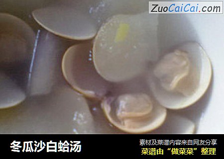 冬瓜沙白蛤汤