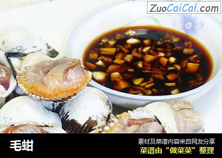 毛蚶