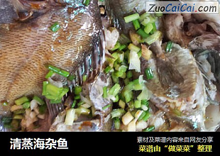 清蒸海杂鱼