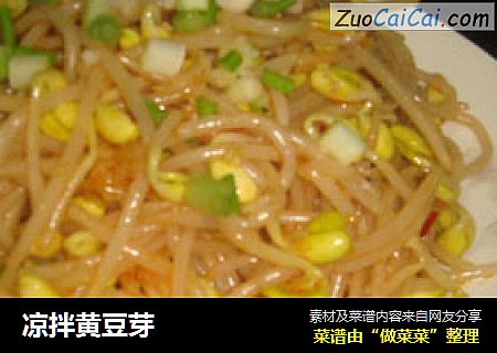 凉拌黄豆芽