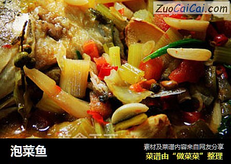 泡菜鱼